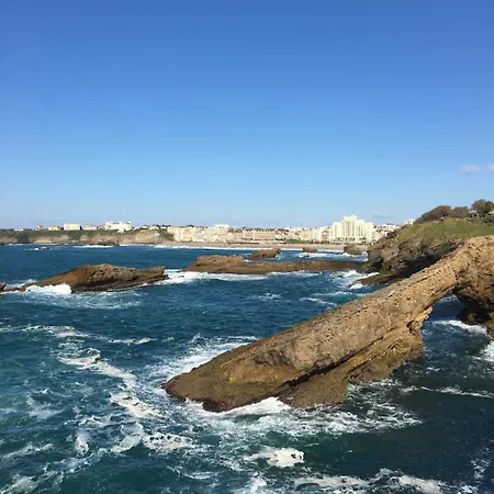 Apartment Elegant Au Centre De Biarritz