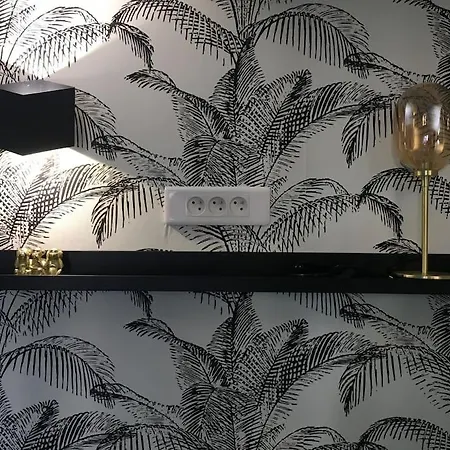 Elegant Au Centre De Apartment Biarritz