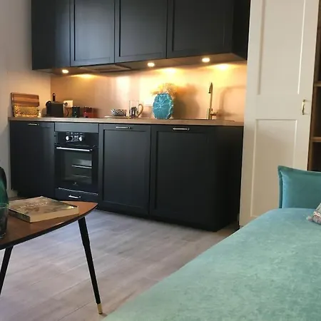 Elegant Au Centre De Apartment