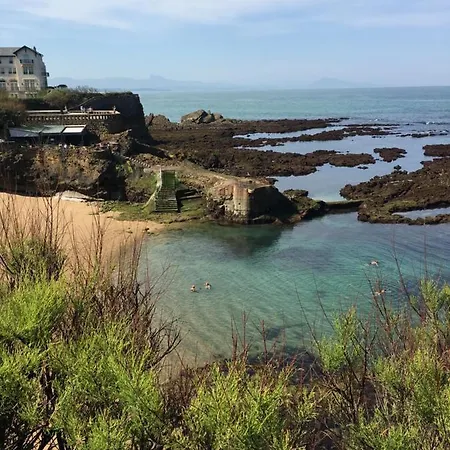 Apartment Elegant Au Centre De Biarritz